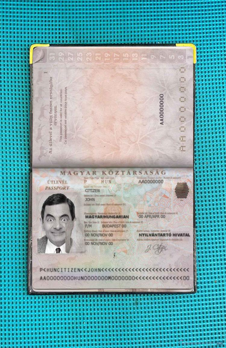 Download Hungary passport photo look Photoshop template